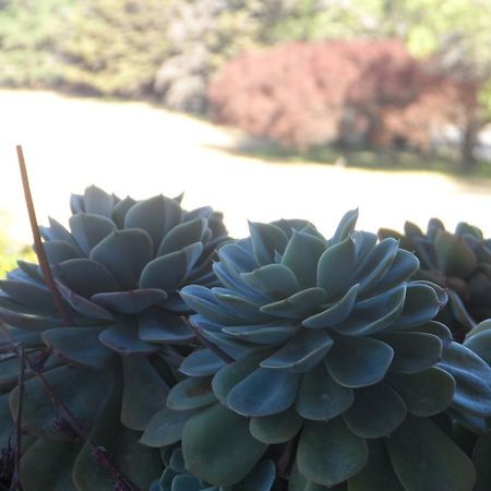 לה קומברה Hotel Victoria Golf מראה חיצוני תמונה